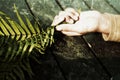 Young woman hand holding fern or palm leaf in a lying position. Hope and Fragility concept with abstract art grunge background. Royalty Free Stock Photo