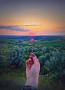 Young woman hand holding a gentle purple flower in front of the summer sunset sky background. Wild and free youth concept Royalty Free Stock Photo