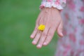 Young woman hand wearing Yellow flower Royalty Free Stock Photo