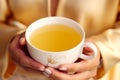 Young woman hands holding aromatic teacup cup of green leaves tea hot steaming beverage morning comfy comfortable Royalty Free Stock Photo