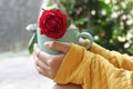 Young woman holding cup of morning coffee or tea with a red rose. Still life, self love and care concept.