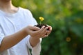 Woman hands holding young plant growing in soil. Ecology, Earth day, Hobbies, Leisure, Home gardening concept. Royalty Free Stock Photo