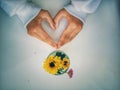 Hands with love sign and a small vase with little flowers bouquet decoration. Love and simplicity concept. Royalty Free Stock Photo