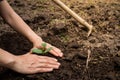 Young woman hands planting tree sapling. Royalty Free Stock Photo