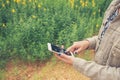 Young woman hands using mobile smart phone in the flowers field. Royalty Free Stock Photo