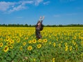 Young woman happily jumping in a field of sunflower Royalty Free Stock Photo