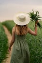 Young woman in a hat walking in a wheat field, enjoys life and summer. Wheat field.Healthy lifestyle Concept Royalty Free Stock Photo