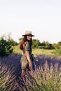 Young woman in hat walks among lavender field Royalty Free Stock Photo
