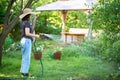 Young woman in hat watering flowers and plants in garden with hose in sunny blooming backyard Royalty Free Stock Photo