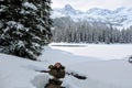 A young woman having fun around Island Lake in Fernie, British Columbia, Canada. The majestic winter background is pretty Royalty Free Stock Photo