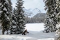 A young woman having fun around Island Lake in Fernie, British Columbia, Canada. The majestic winter background is wonderful Royalty Free Stock Photo