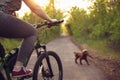 Young woman having fun near countryside park, riding bike, traveling with companion spaniel dog Royalty Free Stock Photo