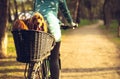 Young woman having fun near countryside park, riding bike, traveling with companion spaniel dog Royalty Free Stock Photo