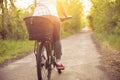 Young woman having fun near countryside park, riding bike, traveling at spring day Royalty Free Stock Photo