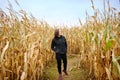 Young woman having fun on pumpkin fair at autumn. Person walking among the dried corn stalks in a corn maze Royalty Free Stock Photo