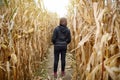 Young woman having fun on pumpkin fair at autumn. Person walking among the dried corn stalks in a corn maze. Traditional american Royalty Free Stock Photo