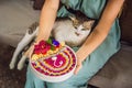 Young woman having a mediterranean breakfast seated at her sofa and with her cat and eats Healthy tropical breakfast Royalty Free Stock Photo