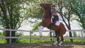 a young woman with a helmet trains the horse Royalty Free Stock Photo