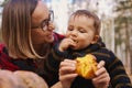 Young woman and her baby son in autumn park, boy playing with helloween pumpkin and eating pumpkin bun. Royalty Free Stock Photo