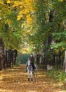 Young woman and her beautiful white arabian stallion riding in the autumn woods Royalty Free Stock Photo