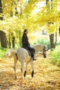 Young woman and her beautiful white arabian stallion riding in the autumn woods Royalty Free Stock Photo