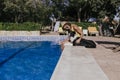 young woman and her border collie dog at the swimming pool. Summertime, fun and lifestyle outdoors Royalty Free Stock Photo