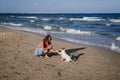 Young woman and her cute small jack russell terrier playing at the beach with a tennis ball. Summer and holidays concept Royalty Free Stock Photo