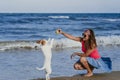 Young woman and her cute small jack russell terrier playing at the beach with a tennis ball. Summer and holidays concept Royalty Free Stock Photo