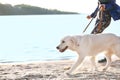 Young woman with her dog together on beach Royalty Free Stock Photo