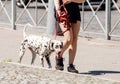 Young woman with her dog walking on the sidewalk Royalty Free Stock Photo