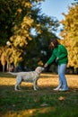 Young woman and her obedient big dog in autumn park Royalty Free Stock Photo