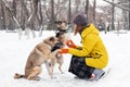 Young woman with her two dogs in a snowy winter park. Dogs give paws to the owner