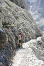 Woman hiker with backpack on shoulders walks on stone path in high Dolomites mountain of European alps Royalty Free Stock Photo