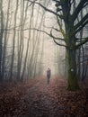 Young woman hiking with a backpack on a forest trail in autumn Royalty Free Stock Photo