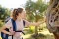 Young woman hiking in countryside. Concepts of adventure, extreme survival, orienteering. Single travel. Backpacking hike Forest Royalty Free Stock Photo