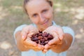 Young woman hold in hands brown dried fermented cocoa beans Royalty Free Stock Photo