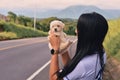 Young woman holding an adorable french poodle mini puppy Royalty Free Stock Photo