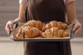 Young woman holding baking tray with fresh croissants indoors Royalty Free Stock Photo
