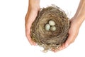 Young woman holding blackbird nest