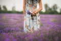 Young woman holding a bouquet of lavender flowers in big field of purple lavender plants Royalty Free Stock Photo