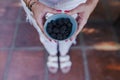 young woman holding a bowl of blackberries. preparing a healthy recipe of diverse fruits, watermelon, orange and blackberries. Royalty Free Stock Photo