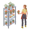 A young woman is holding a flowerpot. Isometric vector illustration.