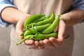 Young woman holding fresh green peas Royalty Free Stock Photo