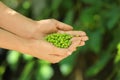 Young woman holding fresh green peas outdoors, closeup Royalty Free Stock Photo