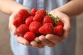 Young woman holding fresh ripe strawberries Royalty Free Stock Photo
