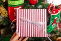 Young woman holding gift box in front of Christmas tree at home. New year present. Closeup Royalty Free Stock Photo