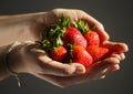 A young woman holding a handful of fresh ripe strawberries. Royalty Free Stock Photo