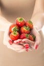 Young Woman Holding a Handful of Fresh Strawberries Royalty Free Stock Photo