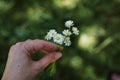 Young woman holding a little bunch of flowers in her hand