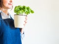 Young woman growing fresh basil at home